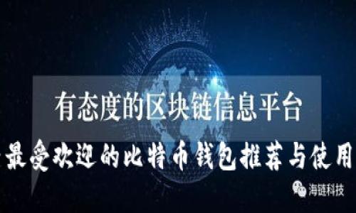 国内最受欢迎的比特币钱包推荐与使用评测