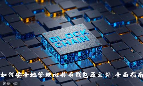 如何安全地管理比特币钱包原文件：全面指南