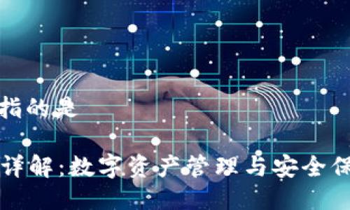 tpwallet别名指的是

TPWallet别名详解：数字资产管理与安全保障的最佳选择