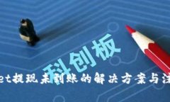 tpwallet提现未到账的解决方案与注意事项