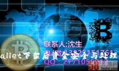 TPWallet下架后资金安全与处理攻略