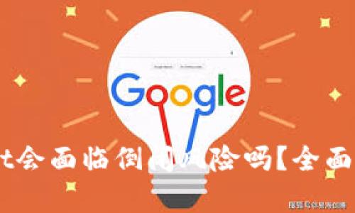 ### TPWallet会面临倒闭风险吗？全面解析及未来展望