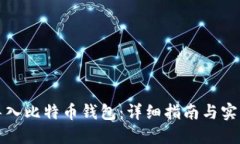 如何导入比特币钱包：详细指南与实用技巧