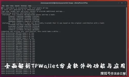 全面解析TPWallet分身软件的功能与应用