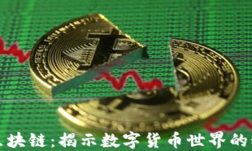 
从钱包到区块链：揭示数字货币世界的秘密与未来