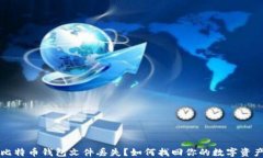 比特币钱包文件丢失？如何找回你的数字资产