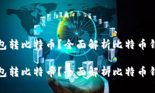 如何通过观察钱包转比特币？全面解析比特币钱包的使用与管理

如何通过观察钱包转比特币？全面解析比特币钱包的使用与管理