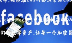    TokenPocket钱包使用指南：币圈必备的数字资产管