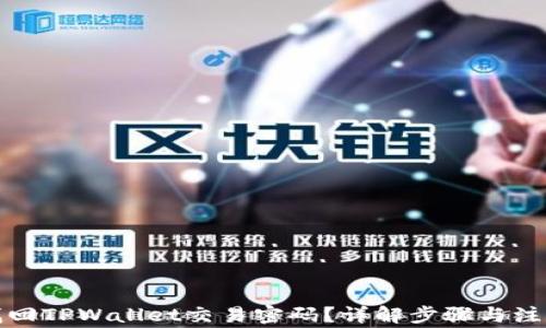 如何找回TPWallet交易密码?详解步骤与注意事项