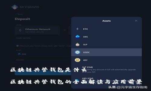 区块链共管钱包是什么

区块链共管钱包的全面解读与应用前景