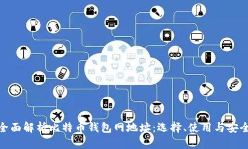 : 全面解析比特币钱包网地址：选择、使用与安全性