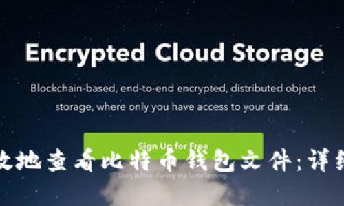 如何安全有效地查看比特币钱包文件：详细指南与技巧