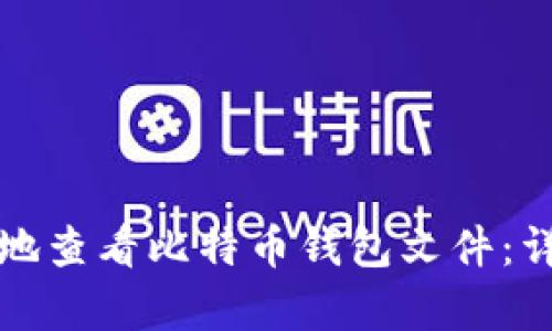 如何安全有效地查看比特币钱包文件：详细指南与技巧