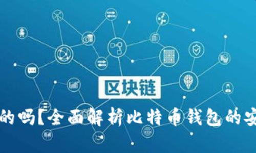 比特币钱包是真的吗？全面解析比特币钱包的安全性和使用指南