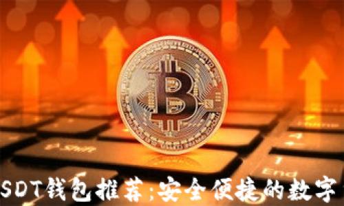 
无须实名的USDT钱包推荐：安全便捷的数字货币管理方案