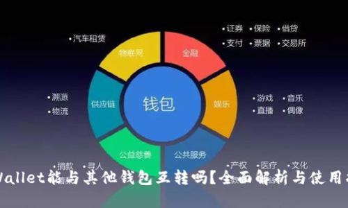 TPWallet能与其他钱包互转吗？全面解析与使用指南