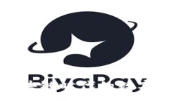 :TPWallet: 区块链时代的数字资产管理助手