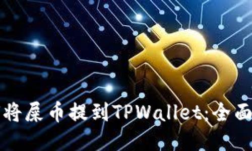 如何将屎币提到TPWallet：全面指南