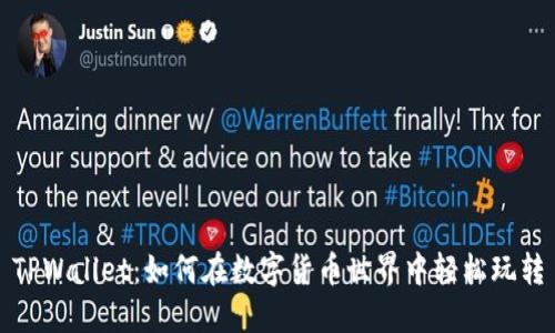 TPWallet：如何在数字货币世界中轻松玩转