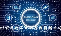 TPWallet突然打不开的原因及解决方案详解