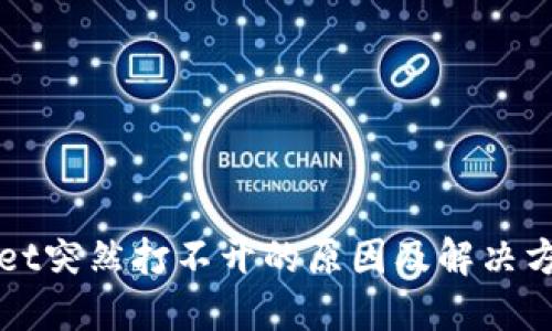 TPWallet突然打不开的原因及解决方案详解