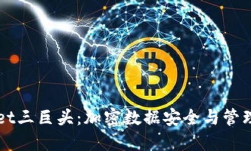 TPWallet三巨头：加密数据安全与管理的未来