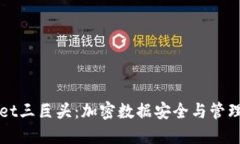 TPWallet三巨头：加密数据安全与管理的未来