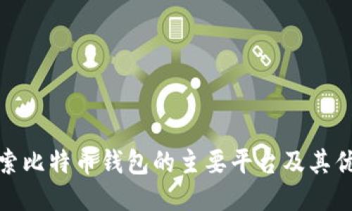 探索比特币钱包的主要平台及其优势