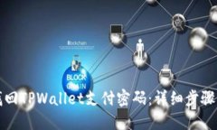 如何找回TPWallet支付密码：详细步骤与技巧