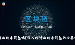 一定要用比特币钱包吗？深入探讨比特币钱包的