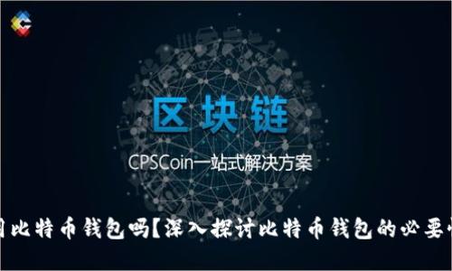 一定要用比特币钱包吗？深入探讨比特币钱包的必要性与选择