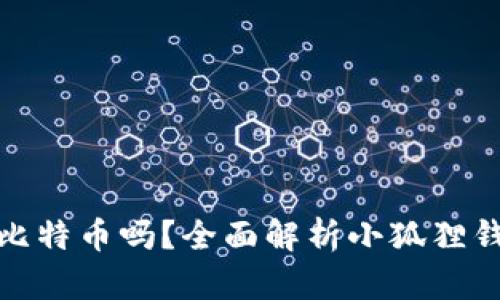 小狐狸钱包能装比特币吗？全面解析小狐狸钱包的功能与优势