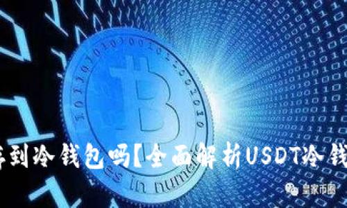 USDT可以存到冷钱包吗？全面解析USDT冷钱包存储方案