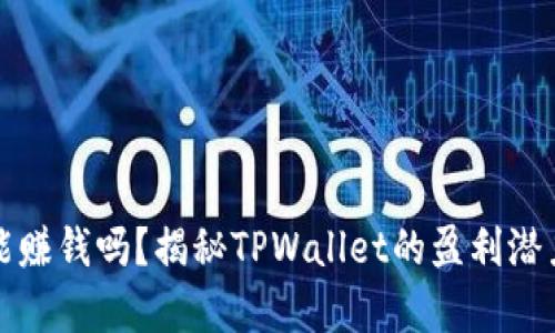 tpwallet真能赚钱吗？揭秘TPWallet的盈利潜力与风险分析