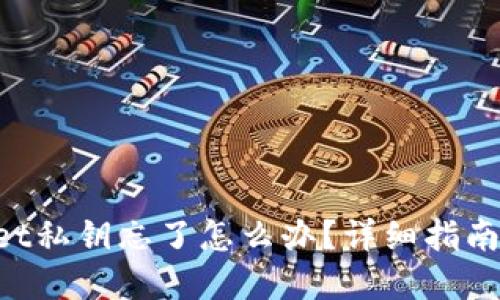 TokenPocket私钥忘了怎么办？详细指南与解决方案