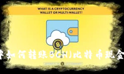 TPWallet中如何转账BCH（比特币现金）详细指南